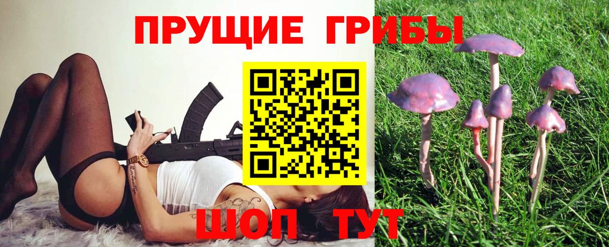 Галлюциногенные грибы Magic Shrooms Азов