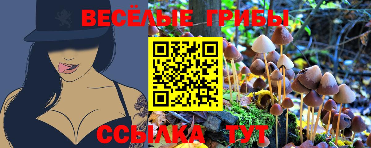 Азов  Галлюциногенные грибы Psilocybe  Вход с VPN  Псилоцибиновые грибы мухоморы 
